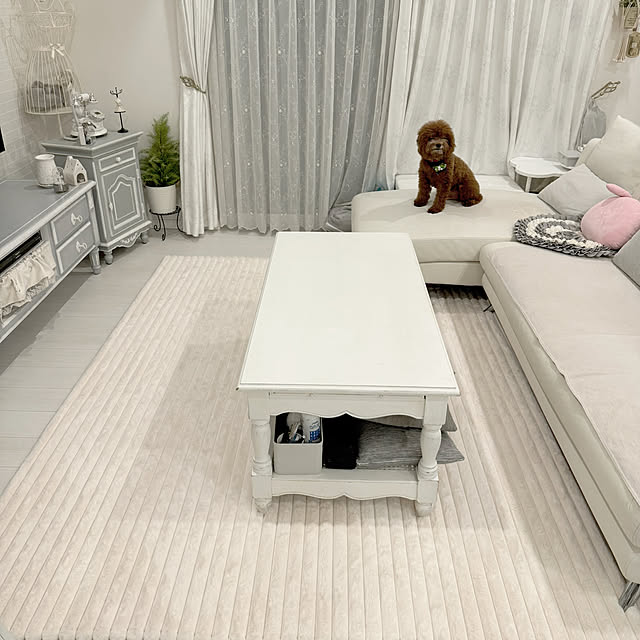 michimichiさんの実例写真