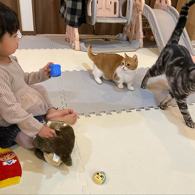 KotarouKunさんの実例写真