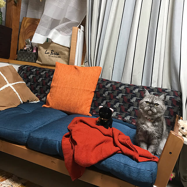 Marinさんの実例写真