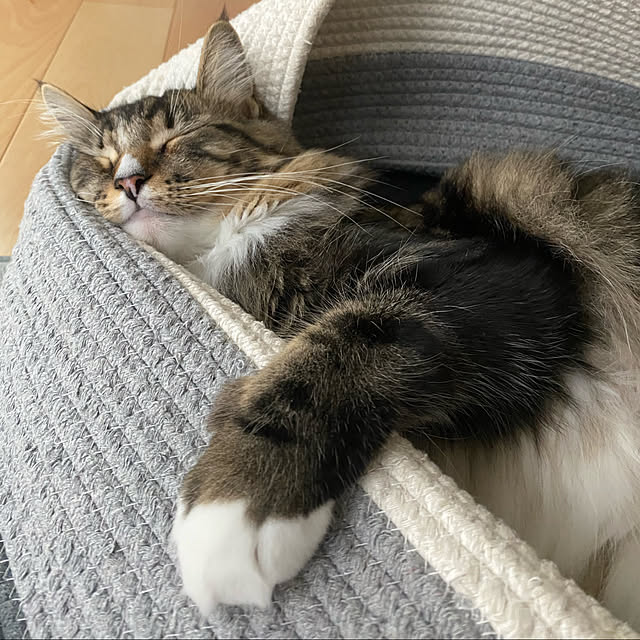 Komekoさんの実例写真