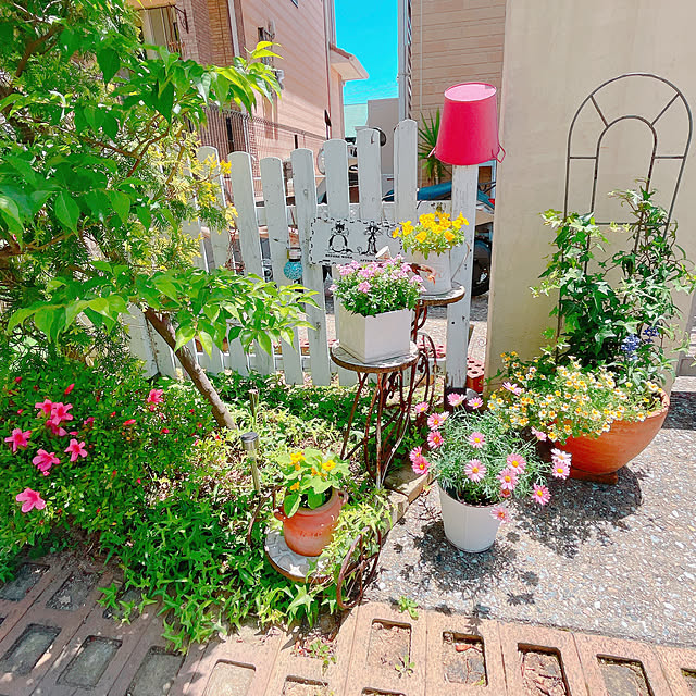 moolさんの実例写真