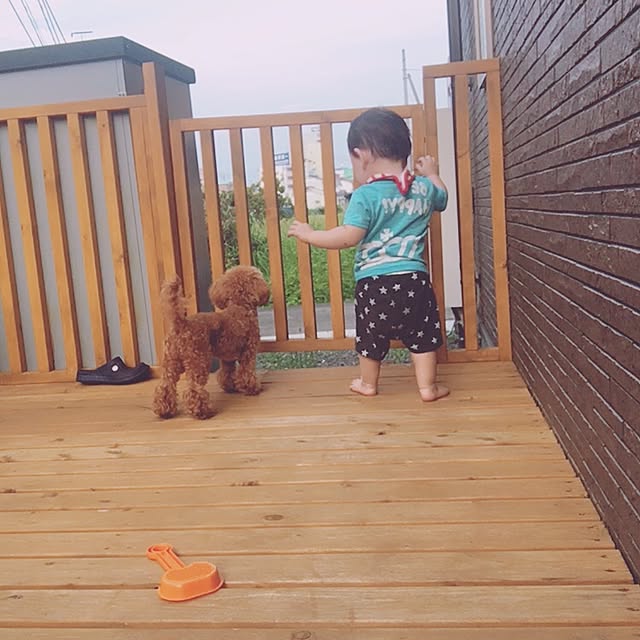 20hakuさんの実例写真