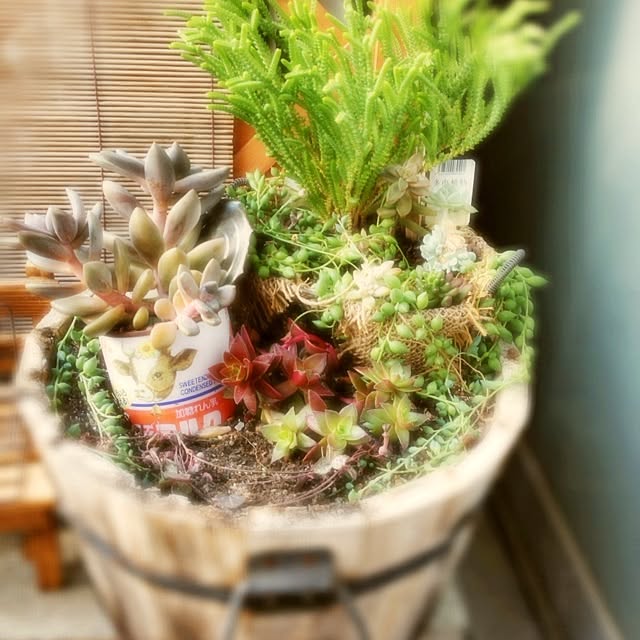 soraさんの実例写真