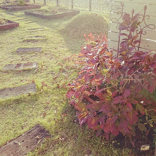 180447hiroさんの実例写真