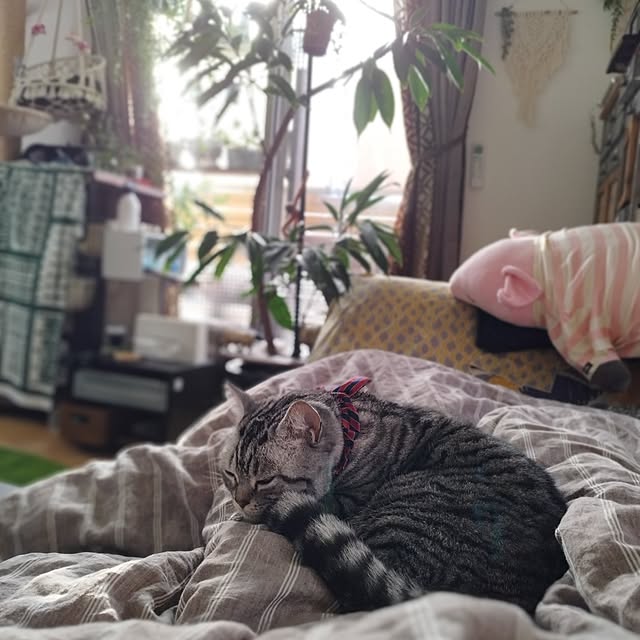 hiro3さんの実例写真