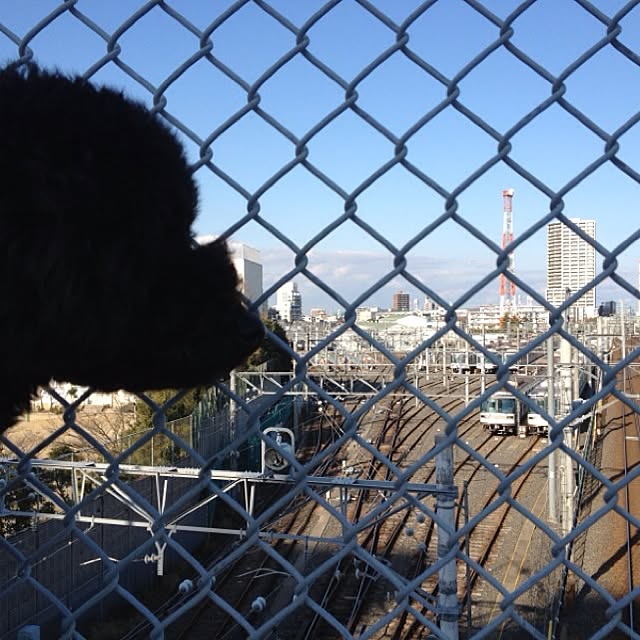 keitanさんの実例写真