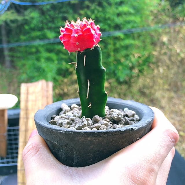L.さんの実例写真