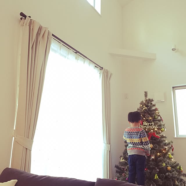 holicさんの実例写真