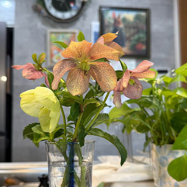 Aqettyさんの実例写真