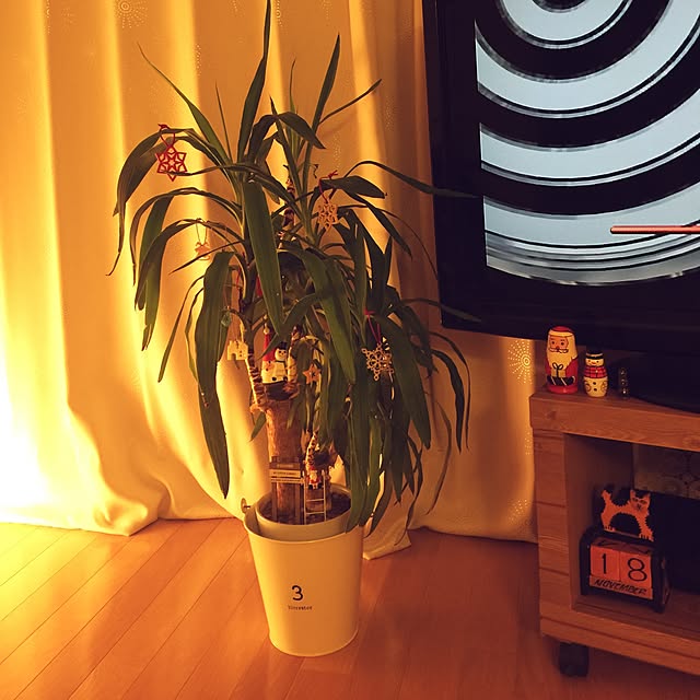 実例写真