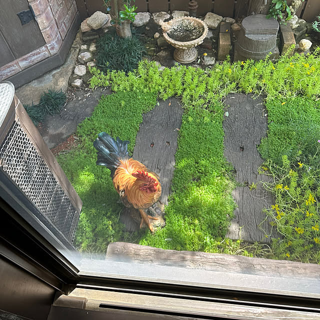 tabasaさんの部屋