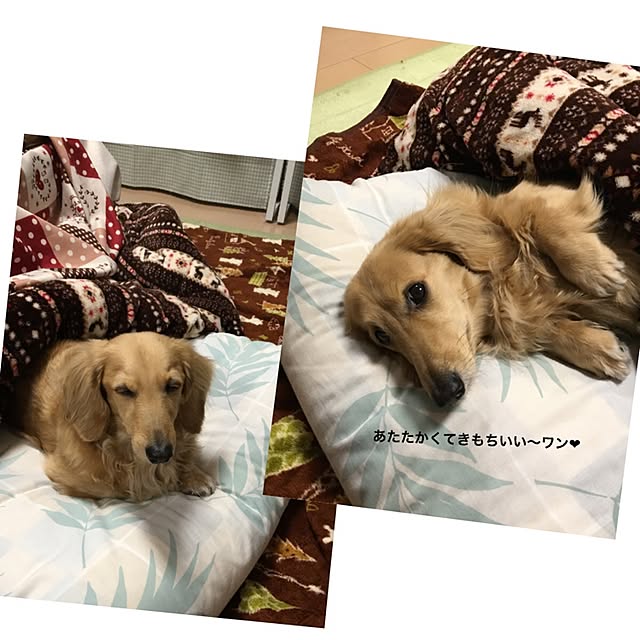ssmami0723さんの実例写真