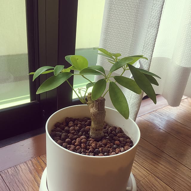 Jsさんの実例写真