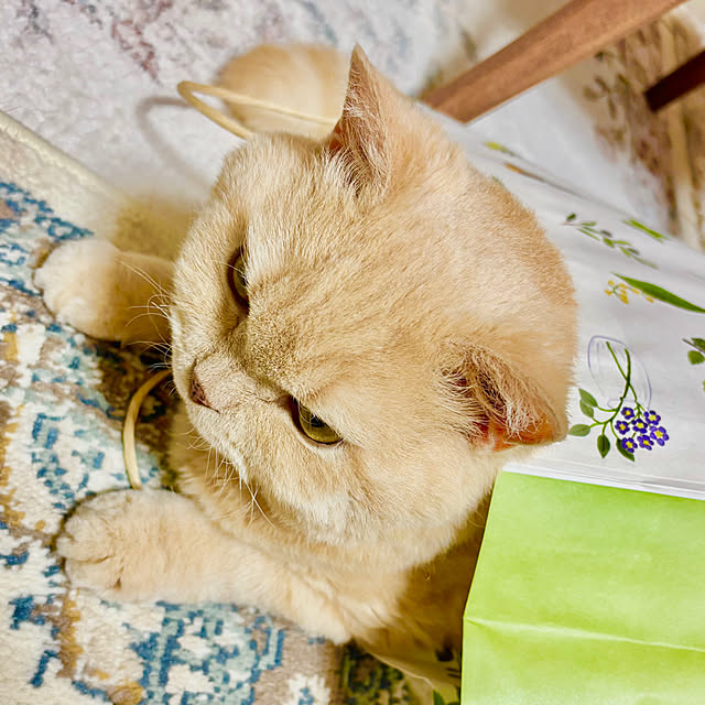 naokoさんの部屋