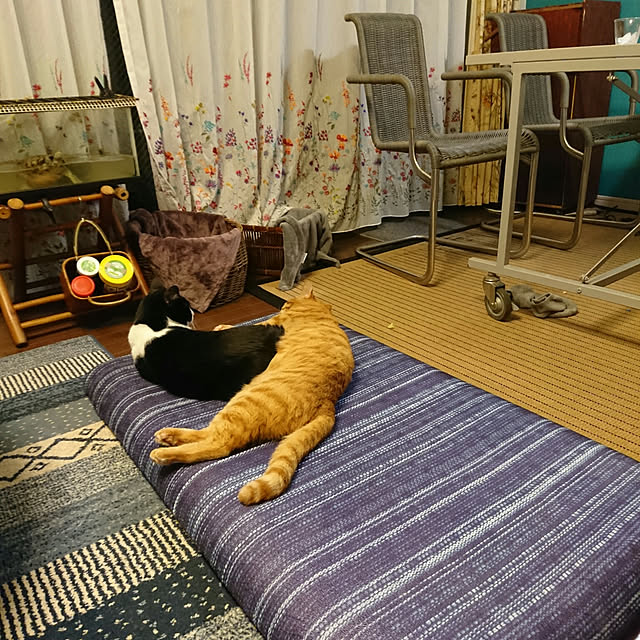 okyosan101さんの実例写真
