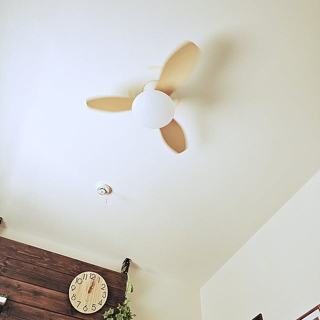 sinさんの実例写真