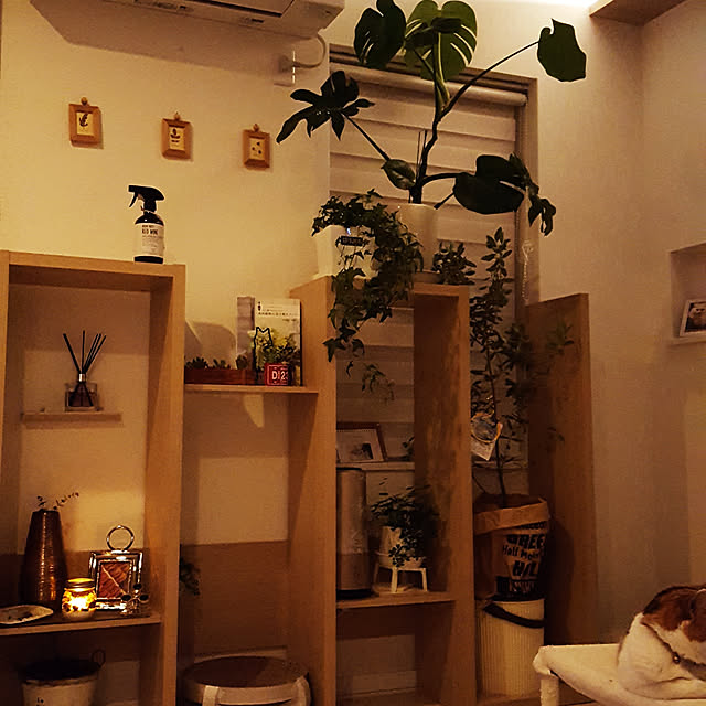 megu.catさんの実例写真