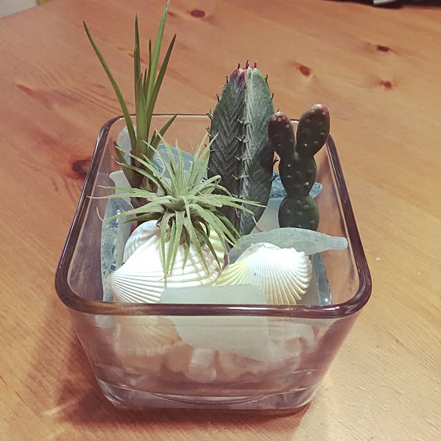 実例写真