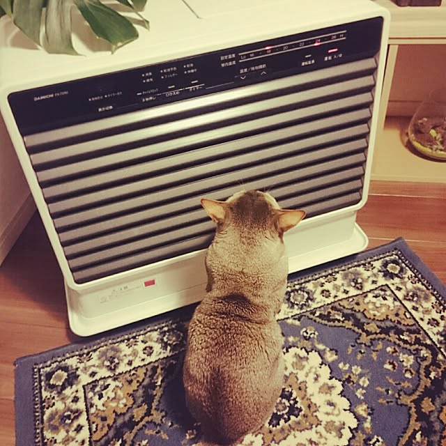 Jcさんの実例写真