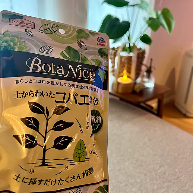 mocoさんの部屋