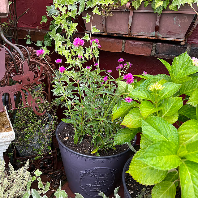 AYUKOさんの実例写真