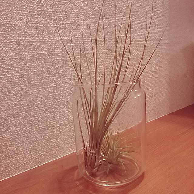 junaさんの実例写真