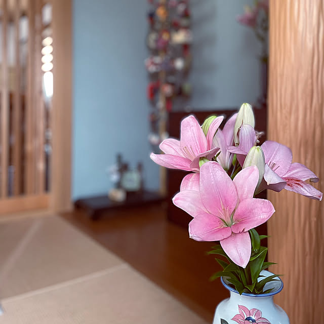 yukichi.wanwaさんの部屋