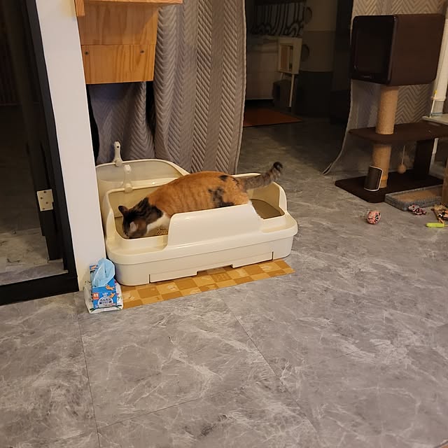 momoさんの部屋
