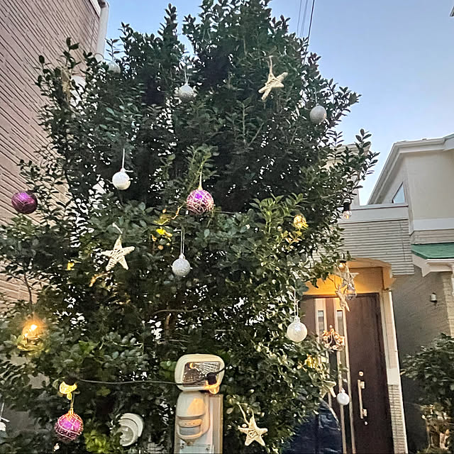 mo-nosukeさんの実例写真