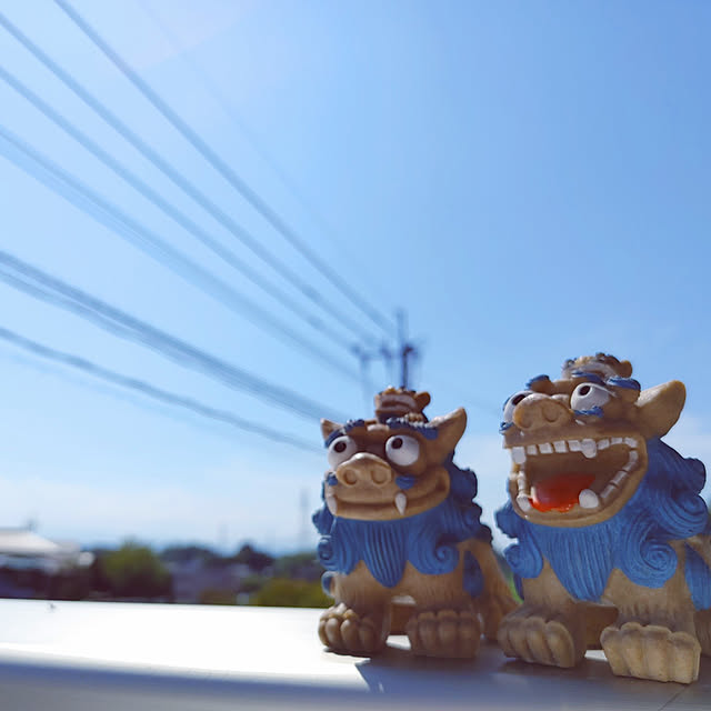 aozoraさんの実例写真