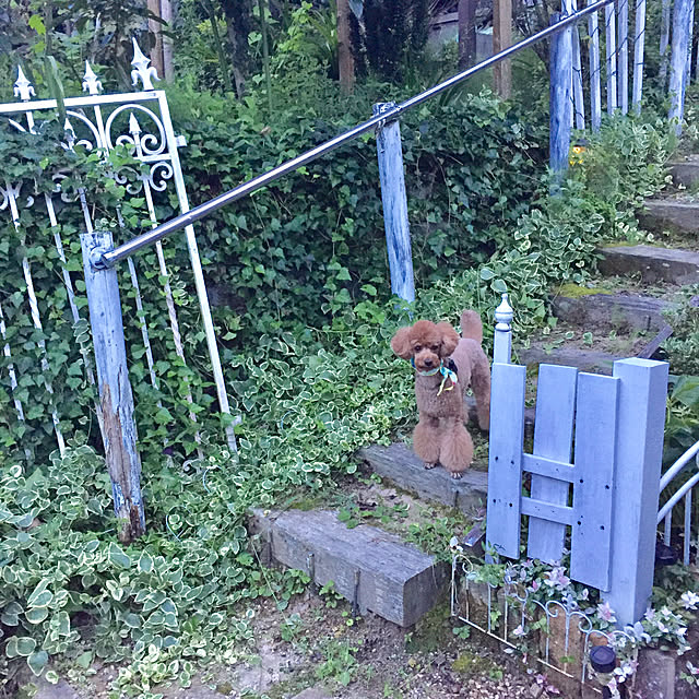 Naomiさんの実例写真