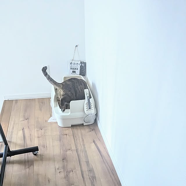 mamimamipockyさんの部屋