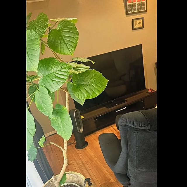 MEGUさんの実例写真