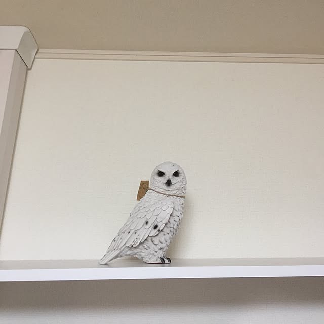 mintさんの実例写真