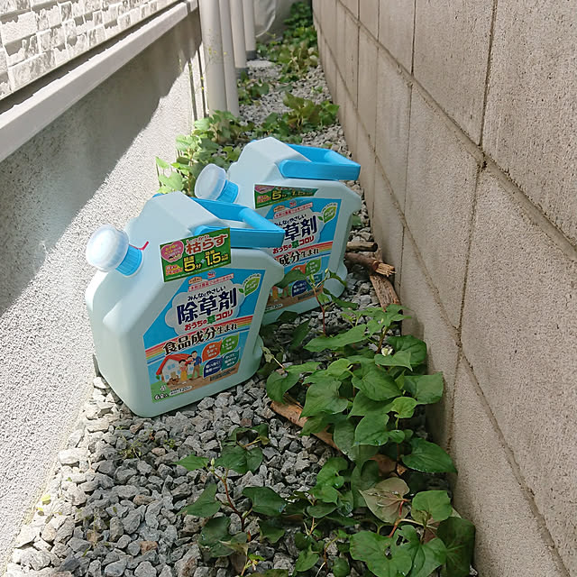 mmfamilyさんの実例写真