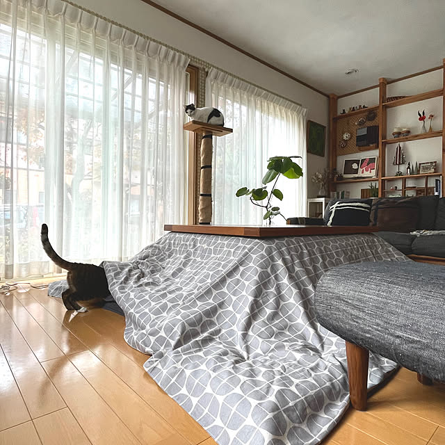 nobikoさんの部屋