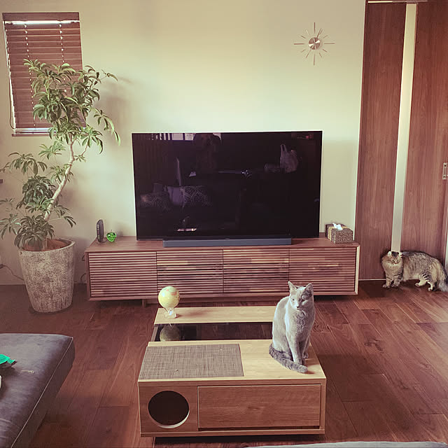 kanaさんの実例写真