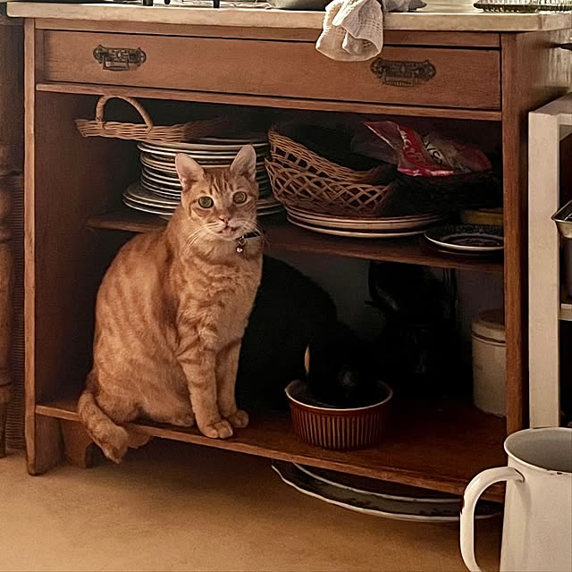 ataさんの実例写真