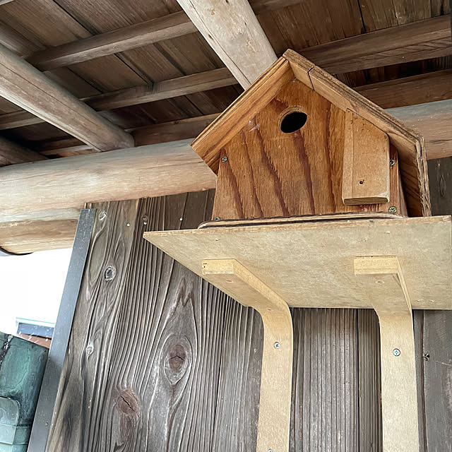 shin0719さんの部屋