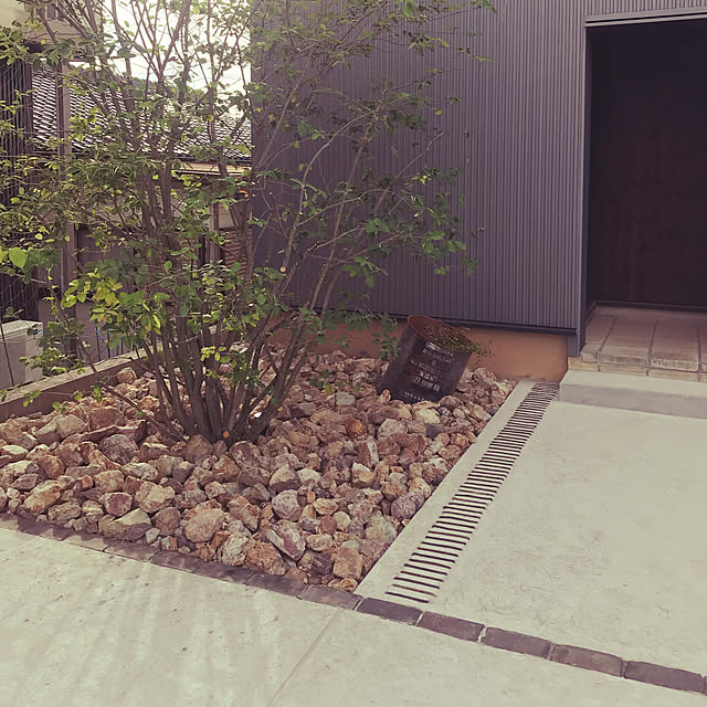 soreさんの実例写真