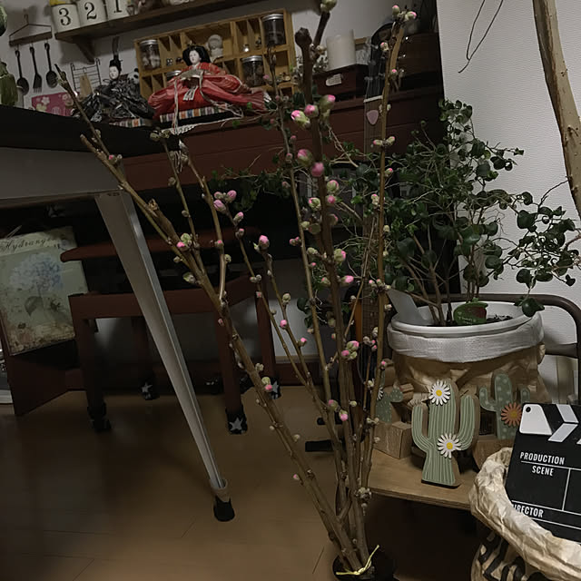 michi-michi39さんの実例写真