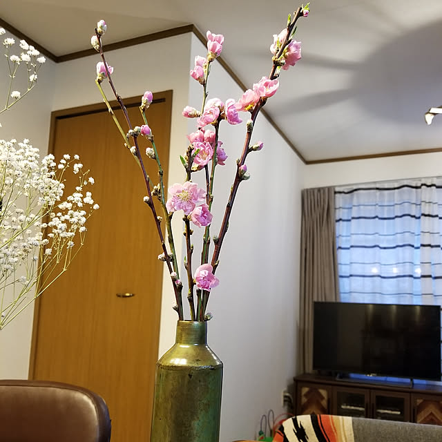 mekunさんの実例写真