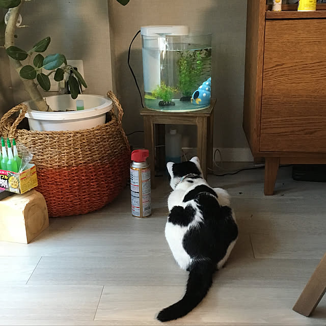 hanaさんの実例写真