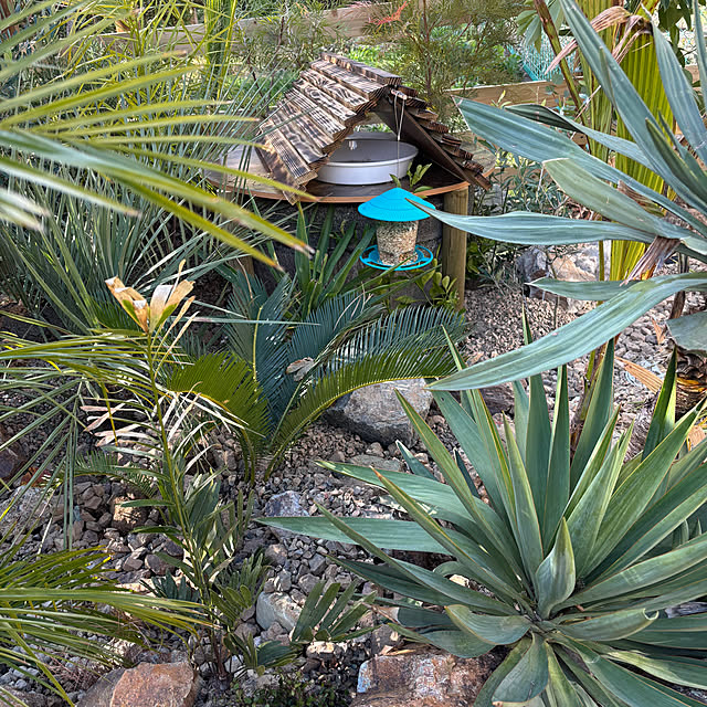 bonjiri0824さんの実例写真