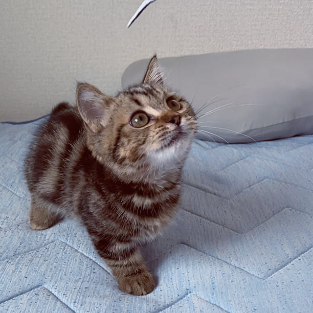 chiiさんの部屋