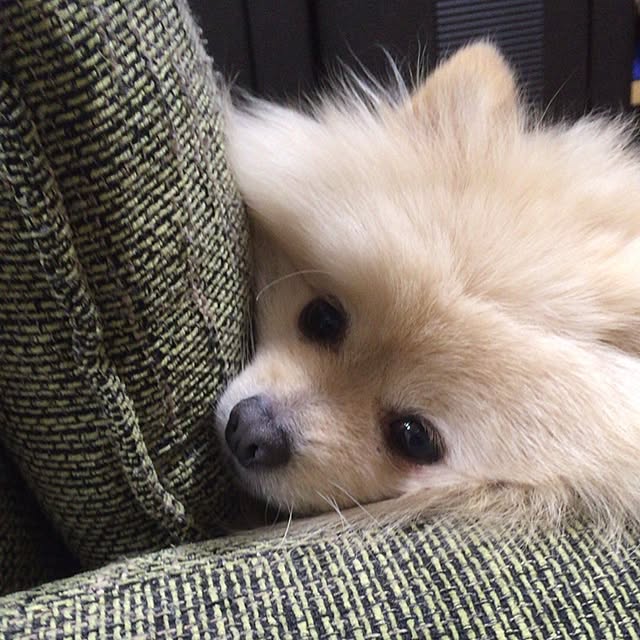 naoaonojoさんの実例写真