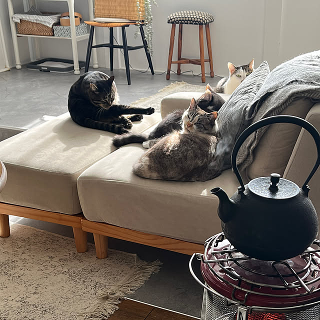 a.f.さんの実例写真