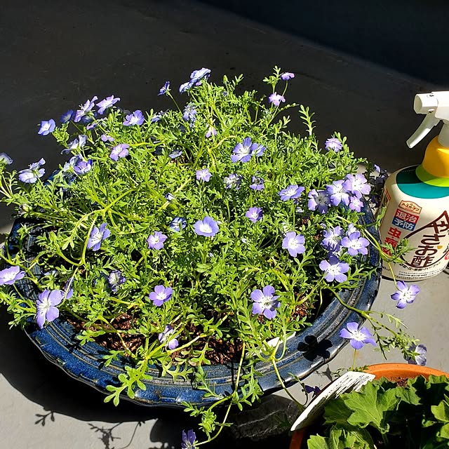 tokkiさんの部屋