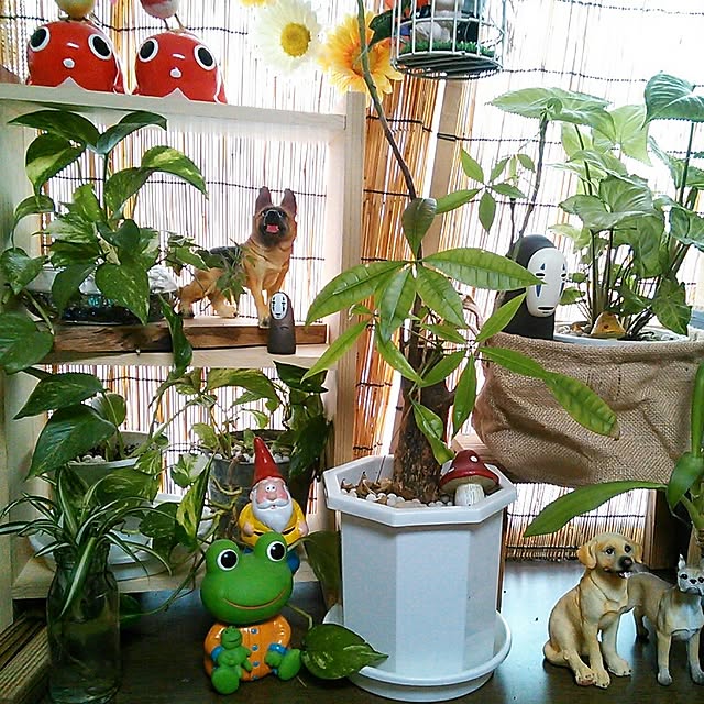 yukkoさんの実例写真