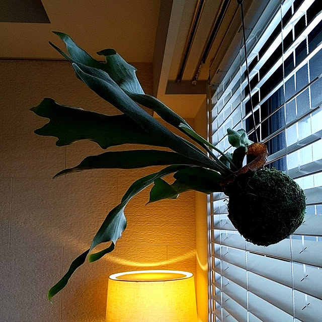 tsukuneさんの実例写真